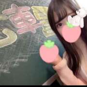 ヒメ日記 2025/08/10 15:50 投稿 ひめの 電車ごっこ