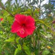 ヒメ日記 2026/02/27 11:30 投稿 ひめの 電車ごっこ