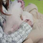 ヒメ日記 2025/02/09 15:05 投稿 ナミ ドMなバニーちゃん大宮店