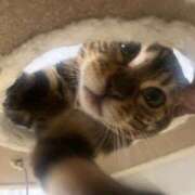 ヒメ日記 2025/02/16 08:31 投稿 ナミ ドMなバニーちゃん大宮店