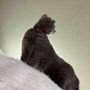 ヒメ日記 2025/02/20 23:59 投稿 ナミ ドMなバニーちゃん大宮店