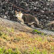 ヒメ日記 2025/03/02 16:55 投稿 ナミ ドMなバニーちゃん大宮店