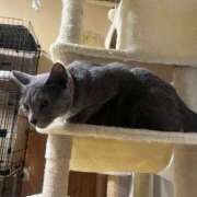 ヒメ日記 2025/03/14 00:01 投稿 ナミ ドMなバニーちゃん大宮店