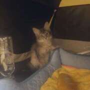 ヒメ日記 2025/04/01 11:11 投稿 ナミ ドMなバニーちゃん大宮店