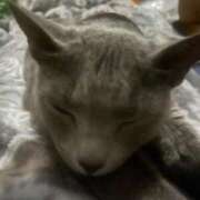 ヒメ日記 2025/04/05 17:13 投稿 ナミ ドMなバニーちゃん大宮店