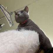 ヒメ日記 2025/05/23 12:04 投稿 ナミ ドMなバニーちゃん大宮店