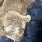 ヒメ日記 2025/05/25 00:14 投稿 ナミ ドMなバニーちゃん大宮店