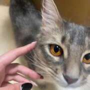 ヒメ日記 2025/05/26 00:15 投稿 ナミ ドMなバニーちゃん大宮店