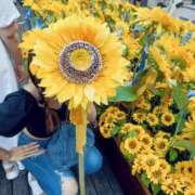 ヒメ日記 2025/08/04 11:51 投稿 ナミ ドMなバニーちゃん大宮店