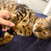 ヒメ日記 2025/09/21 09:26 投稿 ナミ ドMなバニーちゃん大宮店