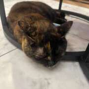 ヒメ日記 2025/09/22 11:02 投稿 ナミ ドMなバニーちゃん大宮店