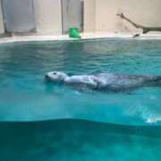 ヒメ日記 2026/01/03 12:43 投稿 ナミ ドMなバニーちゃん大宮店