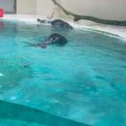 ヒメ日記 2026/01/11 12:08 投稿 ナミ ドMなバニーちゃん大宮店