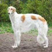 ヒメ日記 2026/01/11 20:17 投稿 ナミ ドMなバニーちゃん大宮店