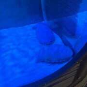 ヒメ日記 2026/01/26 07:21 投稿 ナミ ドMなバニーちゃん大宮店