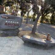 ヒメ日記 2026/01/30 07:15 投稿 ナミ ドMなバニーちゃん大宮店