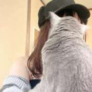 ヒメ日記 2026/02/05 22:47 投稿 ナミ ドMなバニーちゃん大宮店