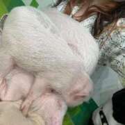 ヒメ日記 2026/02/16 10:18 投稿 ナミ ドMなバニーちゃん大宮店