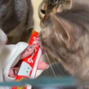 ナミ 出勤！ ドMなバニーちゃん大宮店