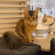 ヒメ日記 2026/03/02 08:35 投稿 ナミ ドMなバニーちゃん大宮店