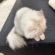 ヒメ日記 2026/03/02 09:05 投稿 ナミ ドMなバニーちゃん大宮店