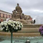 ヒメ日記 2026/03/19 07:15 投稿 ナミ ドMなバニーちゃん大宮店