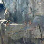 ヒメ日記 2026/03/20 23:46 投稿 ナミ ドMなバニーちゃん大宮店