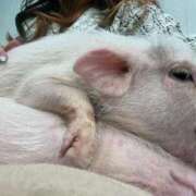 ナミ 退勤 ドMなバニーちゃん大宮店