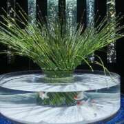 ヒメ日記 2026/04/18 09:23 投稿 ナミ ドMなバニーちゃん大宮店