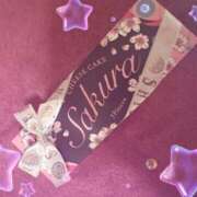 ヒメ日記 2025/03/26 23:55 投稿 おとは バイオレンス