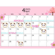 ヒメ日記 2025/03/31 17:35 投稿 おとは バイオレンス