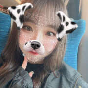 ヒメ日記 2025/04/11 13:19 投稿 おとは バイオレンス