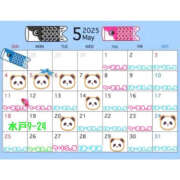 ヒメ日記 2025/05/21 02:15 投稿 おとは バイオレンス