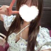 ヒメ日記 2025/07/31 07:08 投稿 おとは バイオレンス