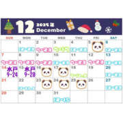 ヒメ日記 2025/11/26 19:05 投稿 おとは バイオレンス