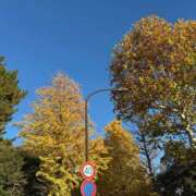 ヒメ日記 2025/12/01 06:25 投稿 おとは バイオレンス