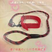 ヒメ日記 2025/08/04 16:18 投稿 莉緒 変態プレイ専門店 マニアック女人館 本館