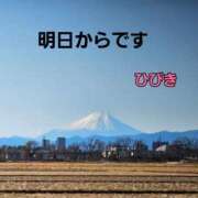 ヒメ日記 2023/12/18 11:04 投稿 【熟女】ひびき 人妻華道－上田店