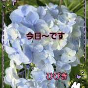 ヒメ日記 2025/06/19 09:00 投稿 【熟女】ひびき 人妻華道－上田店