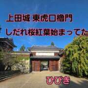 ヒメ日記 2025/09/28 08:20 投稿 【熟女】ひびき 人妻華道－上田店