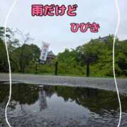 ヒメ日記 2026/09/10 07:51 投稿 【熟女】ひびき 人妻華道－上田店