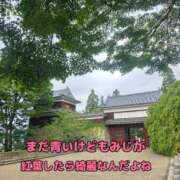 ヒメ日記 2026/09/12 07:45 投稿 【熟女】ひびき 人妻華道－上田店