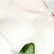 ヒメ日記 2025/07/07 14:46 投稿 みい ☆エロかわいい☆ 飯塚店