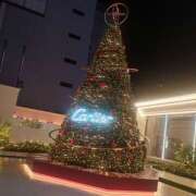 ヒメ日記 2024/12/21 16:50 投稿 ゆの エンジェルシリカ