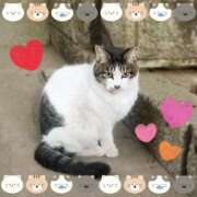 ヒメ日記 2025/02/22 21:46 投稿 ゆの エンジェルシリカ