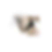 ヒメ日記 2025/09/29 11:51 投稿 ふうか 秋葉原ハンドメイド