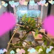 ヒメ日記 2024/12/29 07:39 投稿 ミリ 恋のうた