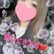 ヒメ日記 2025/02/17 08:08 投稿 ミリ 恋のうた