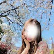 ヒメ日記 2025/04/24 08:31 投稿 白沢ゆり Mrs.Dandy Ueno