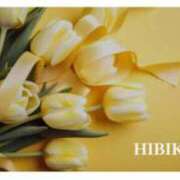 ヒメ日記 2024/12/28 09:23 投稿 ひびき 逢って30秒で即尺